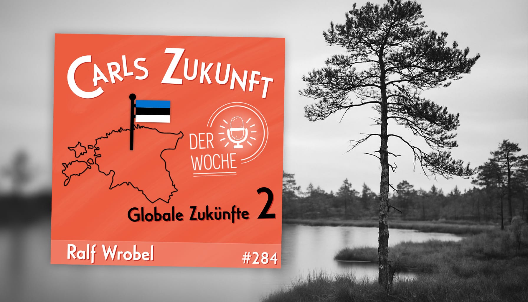 Globale Zukünfte 2: Estland