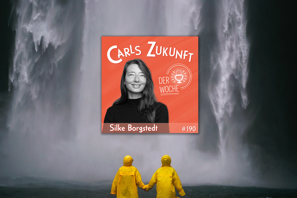 Silke Borgstedt – Angst und Wandel in der Mitte Beitragsbild