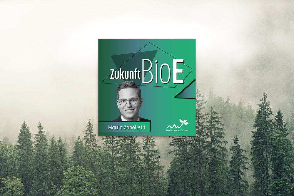 Martin Zahel – Papier für die Bioökonomie Beitragsbild