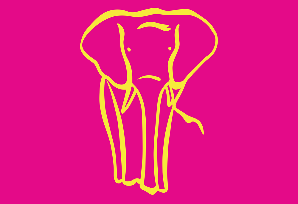 "The Elephant" - das Journal von Carls Zukunft Beitragsbild